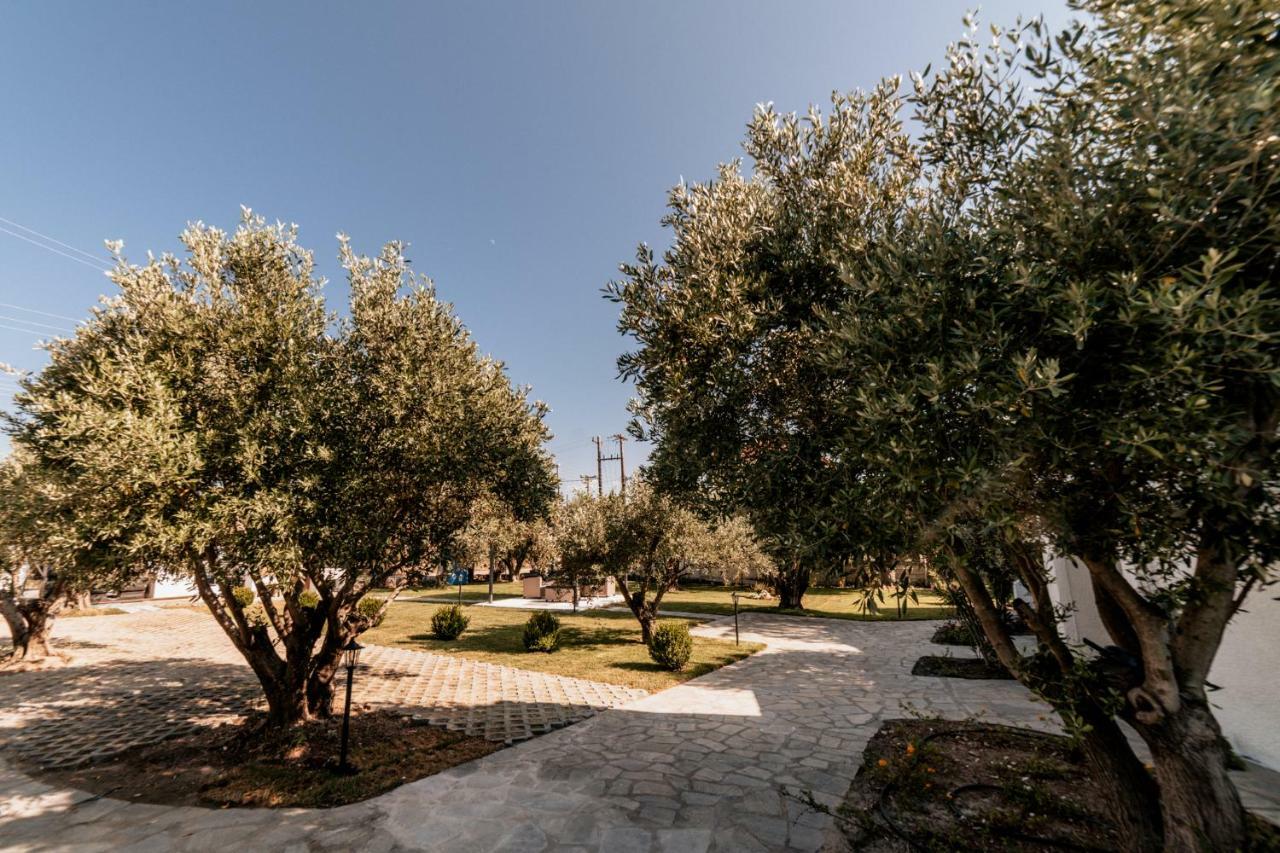 Cyclades Luxury Studios Nea Poteidaia Exteriör bild