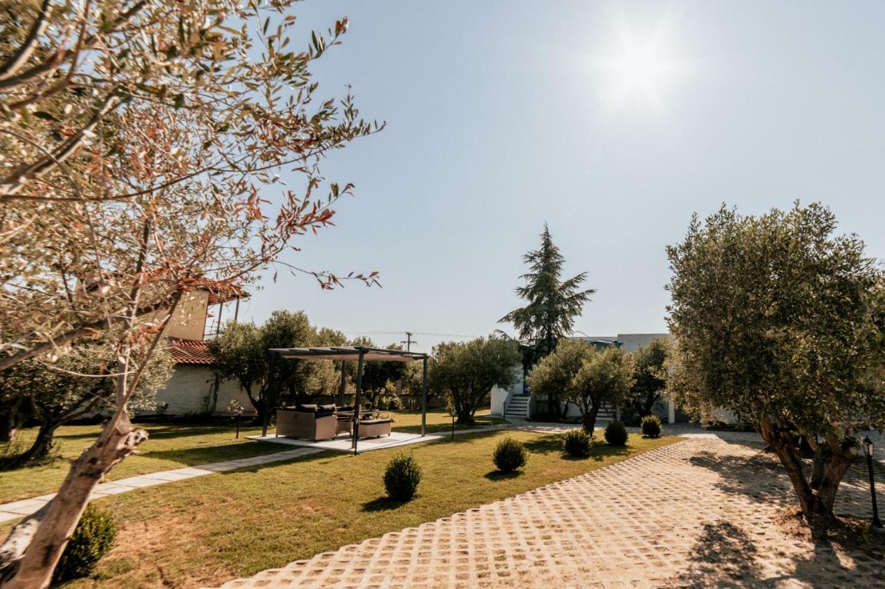 Cyclades Luxury Studios Nea Poteidaia Exteriör bild
